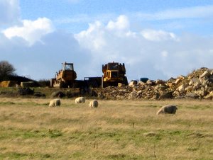 Sheep grazing in front of quarry machines